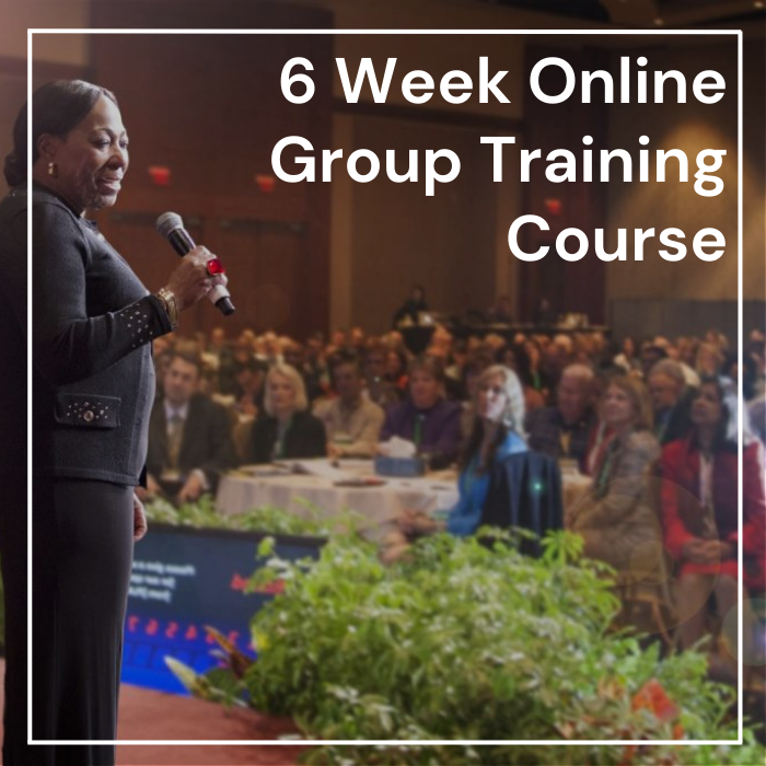 6 weeks online coaching